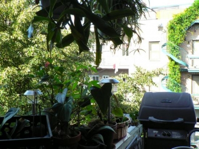  location saisonniere 